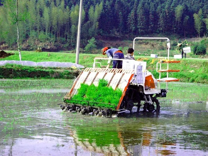 202001071631472526.jpg!w640qm